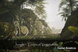Jungle - Tropical Vegetation