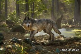 Realistic Wolf