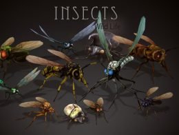 Wild Life - Insects