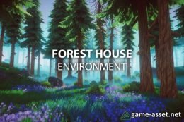 Forest House Environment