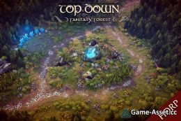 Top Down - Fantasy Forest - RTS & MOBA (HDRP)