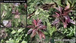 Realistic Plants and Grass Pack 02