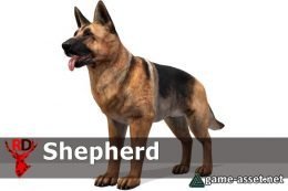 Dog - Shepherd