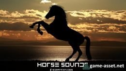 Horse Sounds Pro