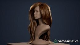 Manequinn with hair for UE4 groom plugin(alembic hair)
