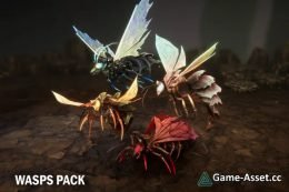 Wasps pack