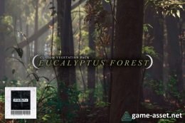 C.V.P - Eucalyptus Forest