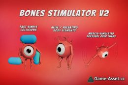 Bones Stimulator