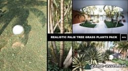 Realistic PALM TREE GRASS PLANTS
