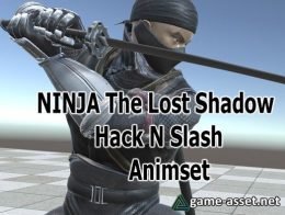Ninja Animset