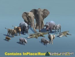 African Animal Pack 1