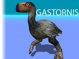 Gastornis (Diatryma) prehistoric flightless bird