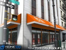 NYC Block #1