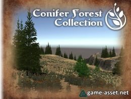 Conifer Forest Collection