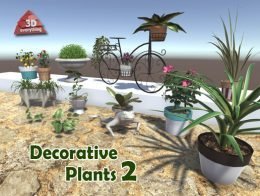 Decorative Plants 2