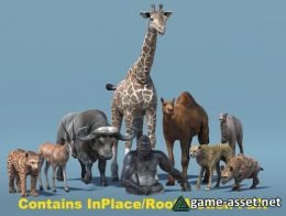 African Animal Pack 2