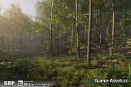 Nature Package - Forest Environment