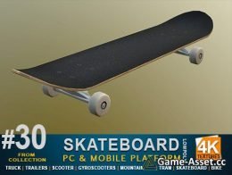 Skateboard #30