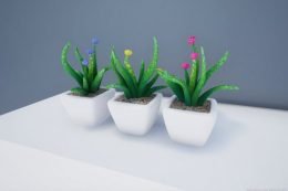 Decorative potted flowers