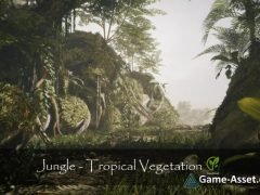 Jungle - Tropical Vegetation