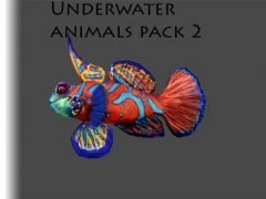 Underwater Animals Pack 2