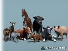 Domestic Animal Pack 1