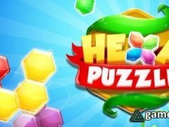 Hexa Puzzle Blocks (Top Free Game)