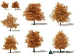 Common Oak Tree 8 types for UE4