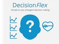 Decision Flex v1.2​