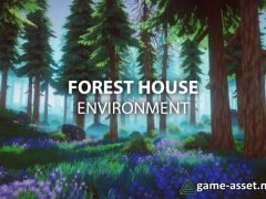 Forest House Environment