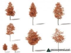Alder tree 8 types for UE4