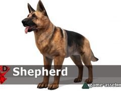 Dog - Shepherd