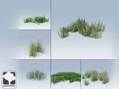 Desktop Grass Package