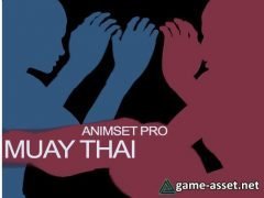 Muay Thai Animset Pro