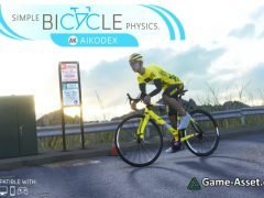 Simple Bicycle Physics