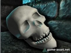 Skull High Quality