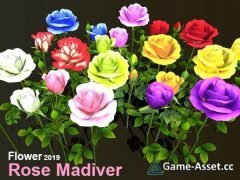 Flower Rose Madiver