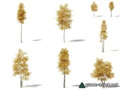 Silver Birch Tree 8 types for UE4