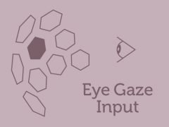 Eye Gaze Input v1.0