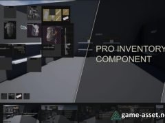 Pro Inventory Component