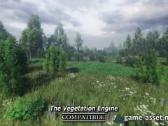 Nature Package - Swamp,Forest Environment