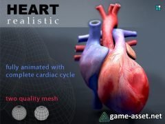Heart Animated Realistic