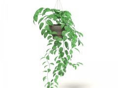 Hanging plant for UE4 Archviz