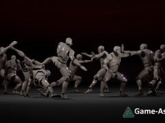 Combat animations - Kung fu V1