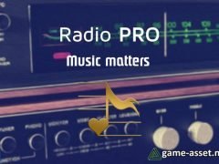 Radio PRO