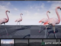Flamingo Animated