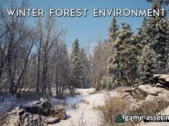Winter Forest Environment