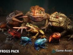 Frogs pack