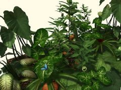 Green Stash - Mesh Plants