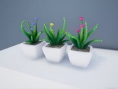 Decorative potted flowers